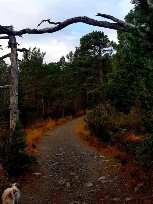 Leilighet I Enebolig Pa Valderoya Ved Alesund Ytterland Esterno foto