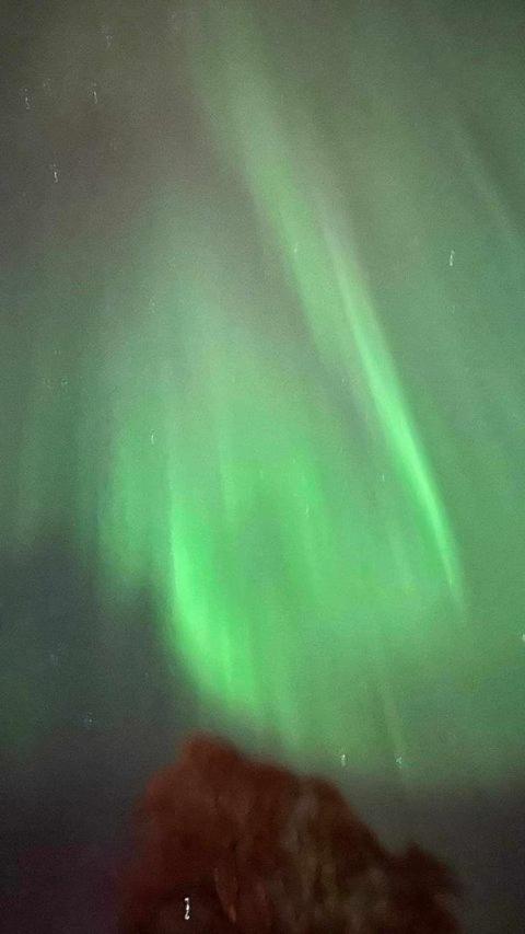 Leilighet I Enebolig Pa Valderoya Ved Alesund Ytterland Esterno foto